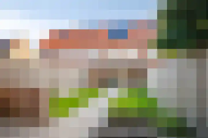 Lange Omgang 13 Bant thumbnail 37