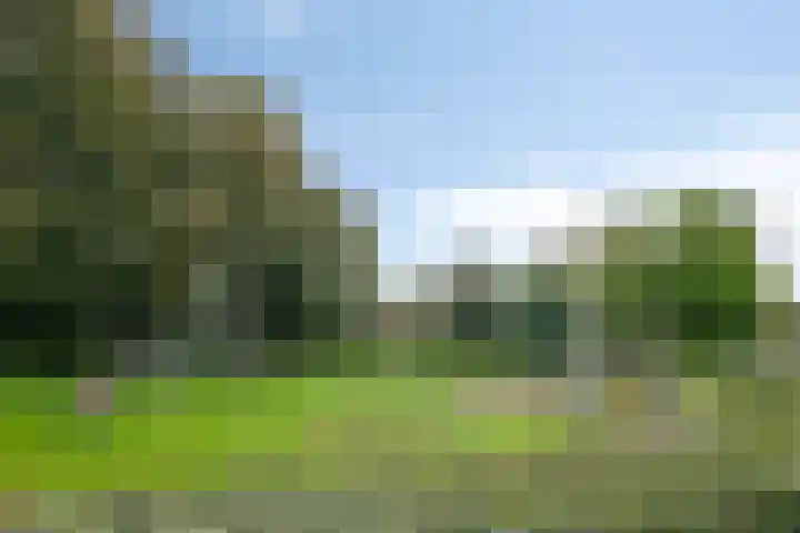 Lange Omgang 13 Bant thumbnail 40