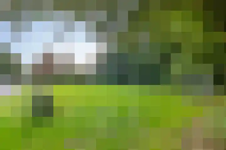 Lange Omgang 13 Bant thumbnail 41
