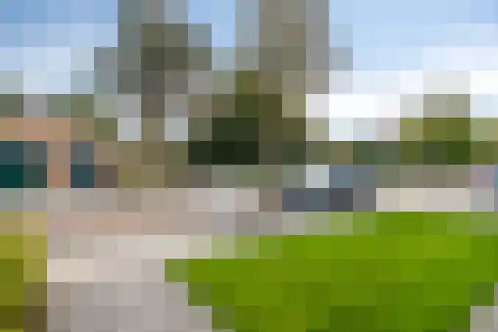 Lange Omgang 13 Bant thumbnail 42