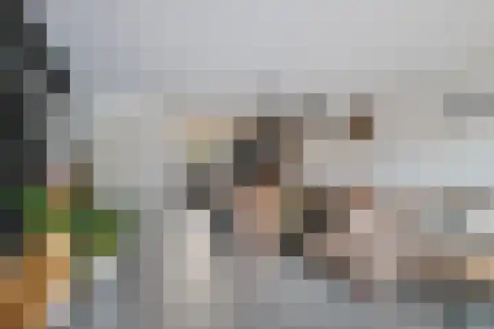 Lange Omgang 13 Bant thumbnail 9