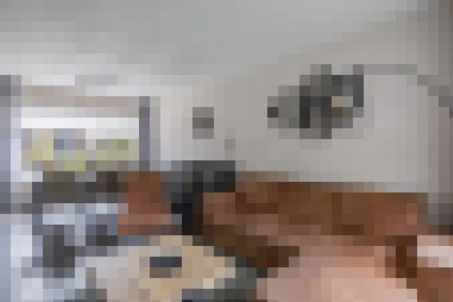 Lange Omgang 34 Bant thumbnail 16