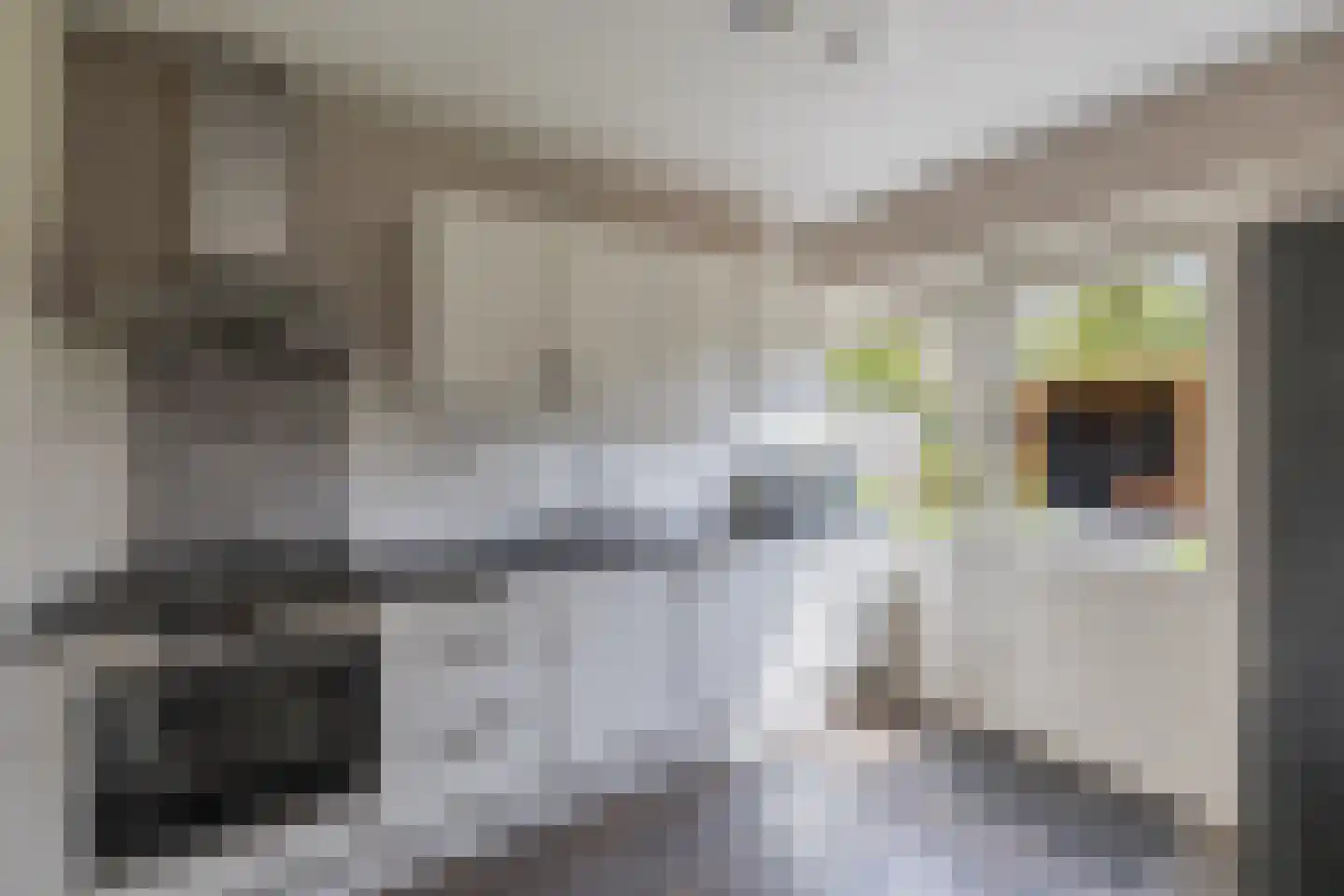 Lange Omgang 34 Bant thumbnail 19