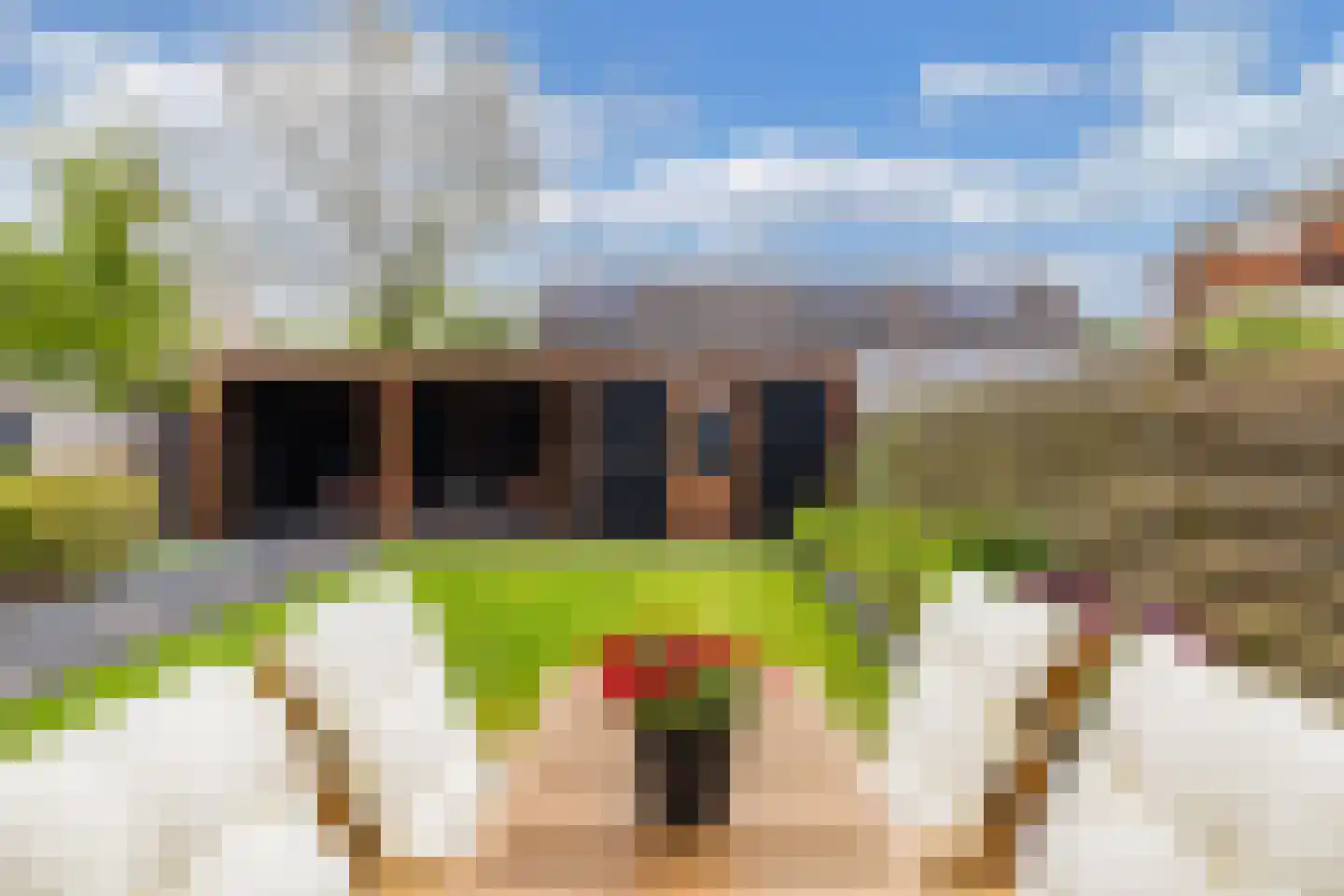 Lange Omgang 34 Bant thumbnail 34