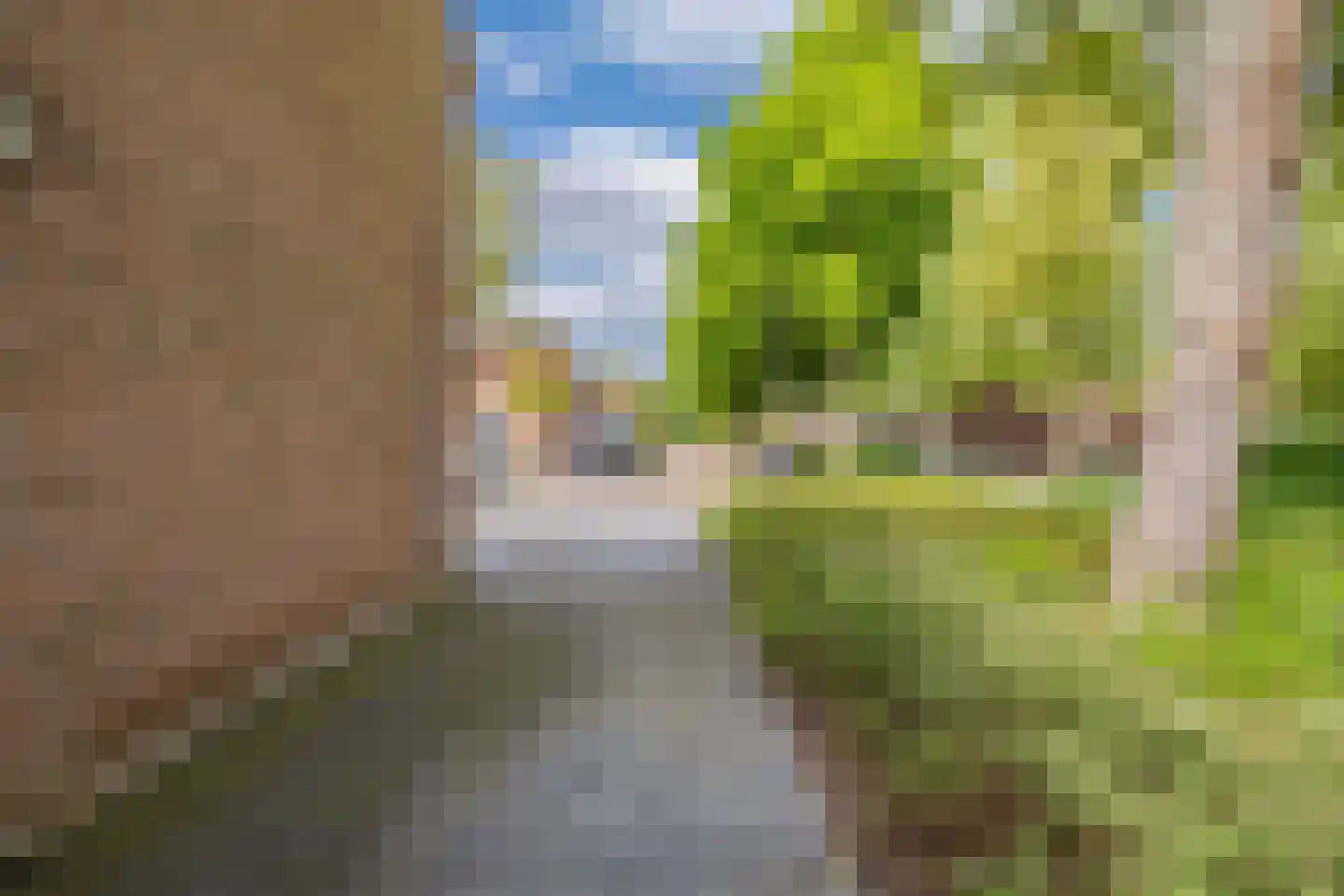 Lange Omgang 34 Bant thumbnail 8