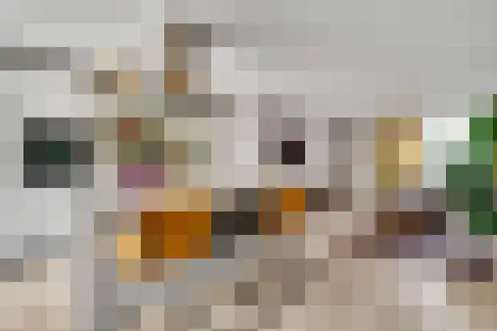 Lange Paalweg 7 Vlodrop thumbnail 10