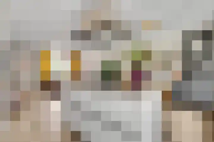 Lange Paalweg 7 Vlodrop thumbnail 11