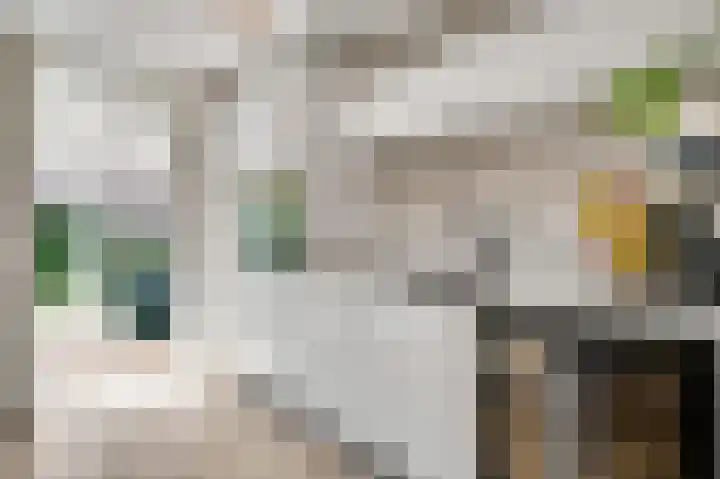 Lange Paalweg 7 Vlodrop thumbnail 12