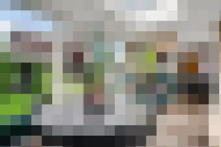 Lange Paalweg 7 Vlodrop thumbnail 14