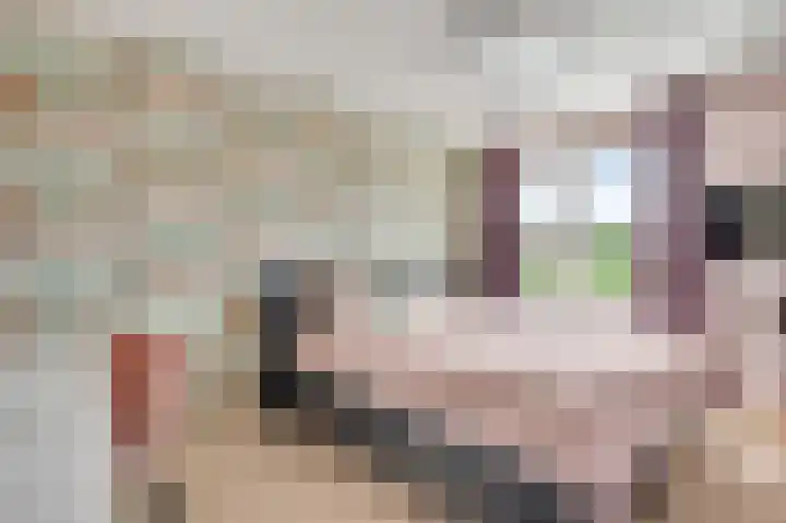 Lange Paalweg 7 Vlodrop thumbnail 17