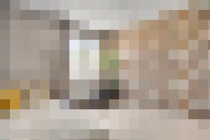 Lange Paalweg 7 Vlodrop thumbnail 19