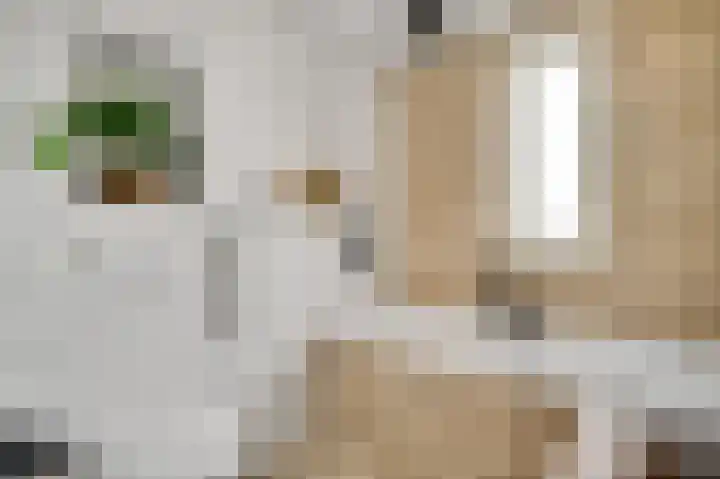 Lange Paalweg 7 Vlodrop thumbnail 21