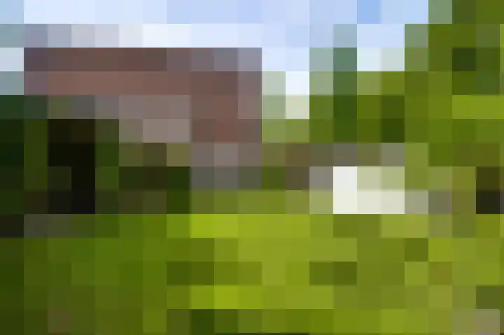 Lange Paalweg 7 Vlodrop thumbnail 25