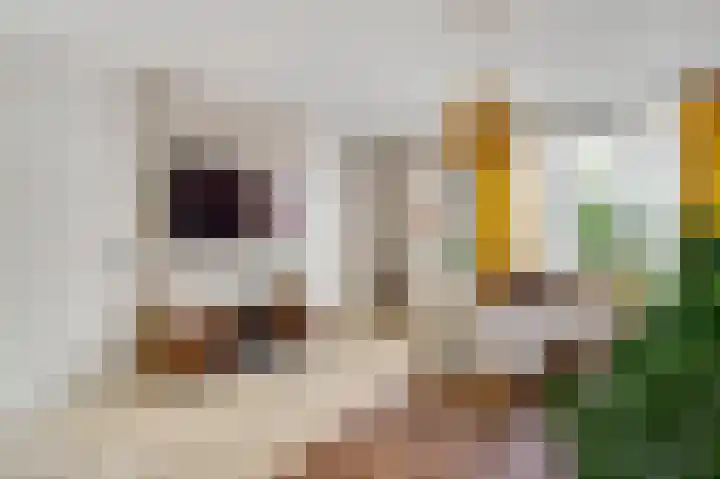 Lange Paalweg 7 Vlodrop thumbnail 8
