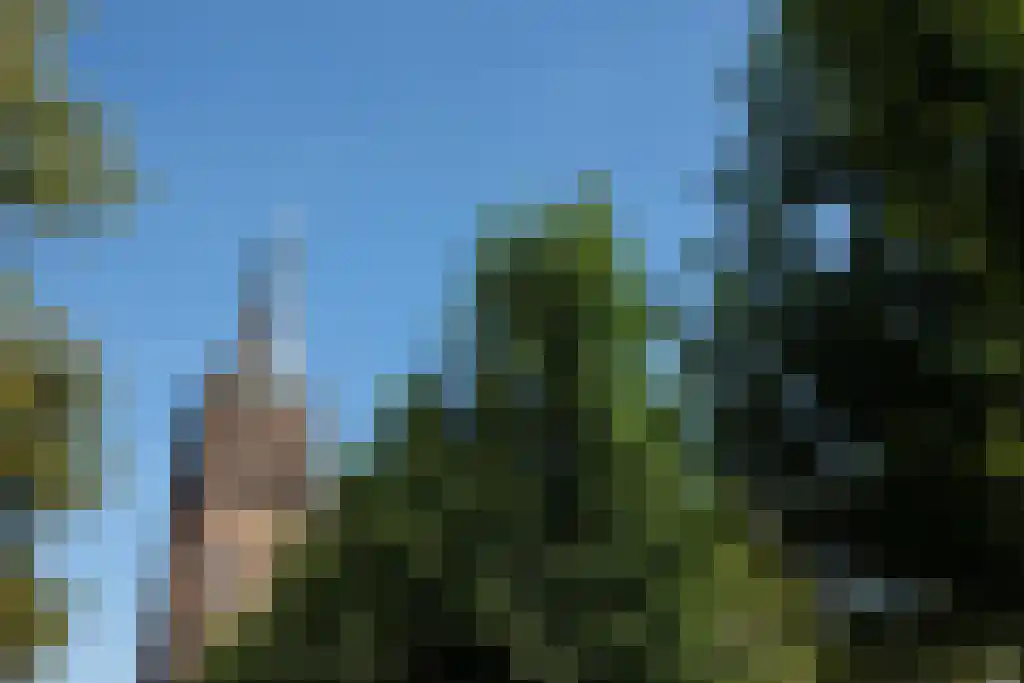 Lange Putstraat 25 's-Hertogenbosch thumbnail 25