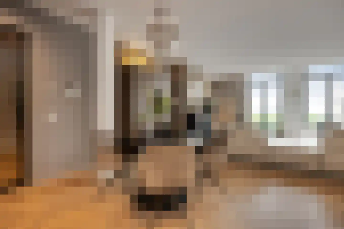 Lange Putstraat 35 's-Hertogenbosch thumbnail 13