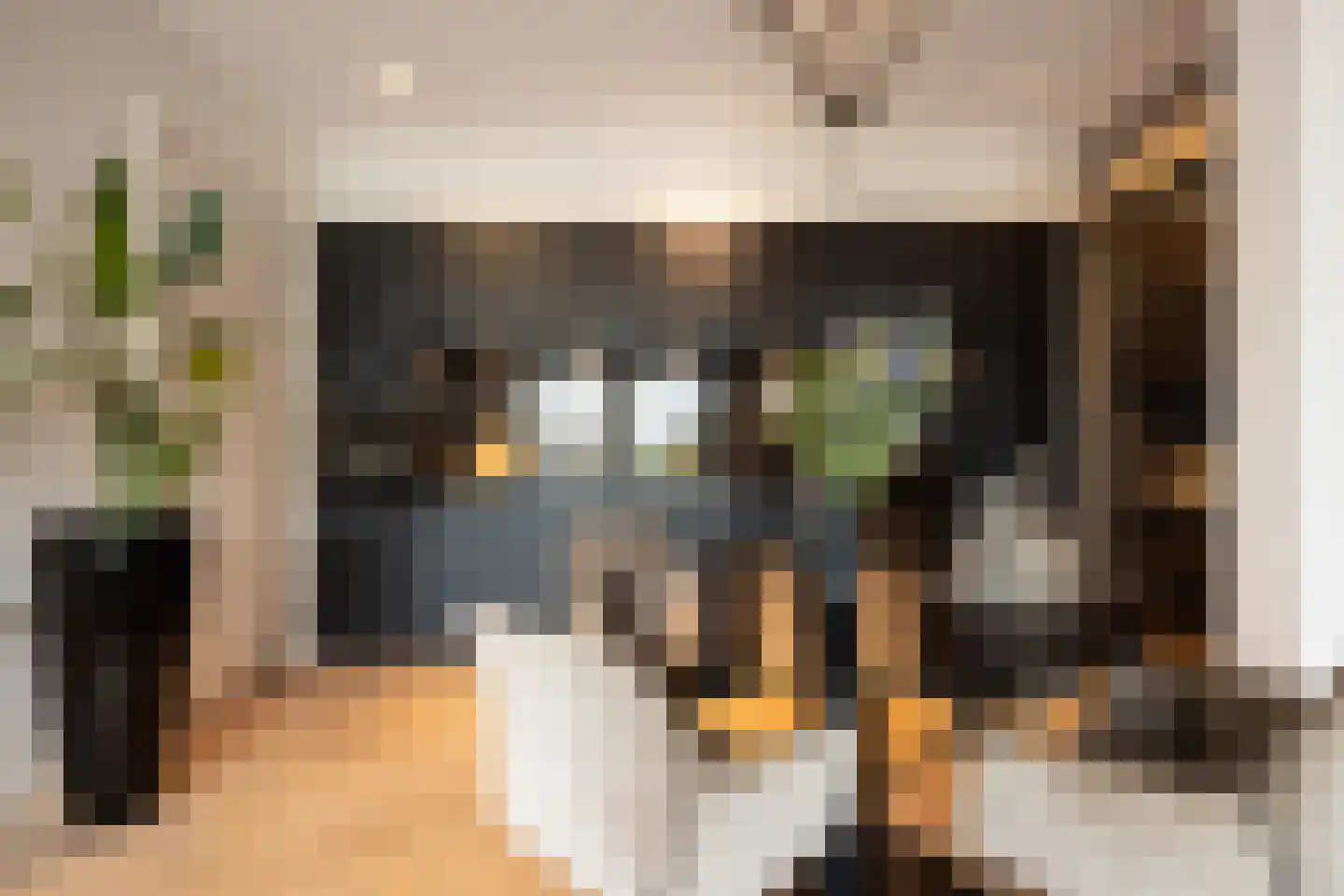Lange Putstraat 35 's-Hertogenbosch thumbnail 14