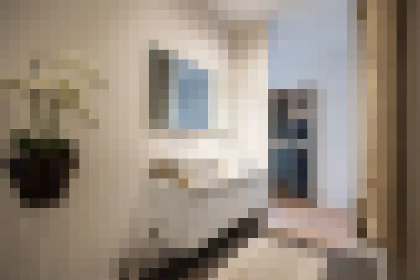 Lange Putstraat 35 's-Hertogenbosch thumbnail 22