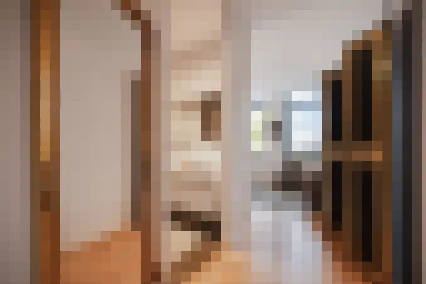 Lange Putstraat 35 's-Hertogenbosch thumbnail 25