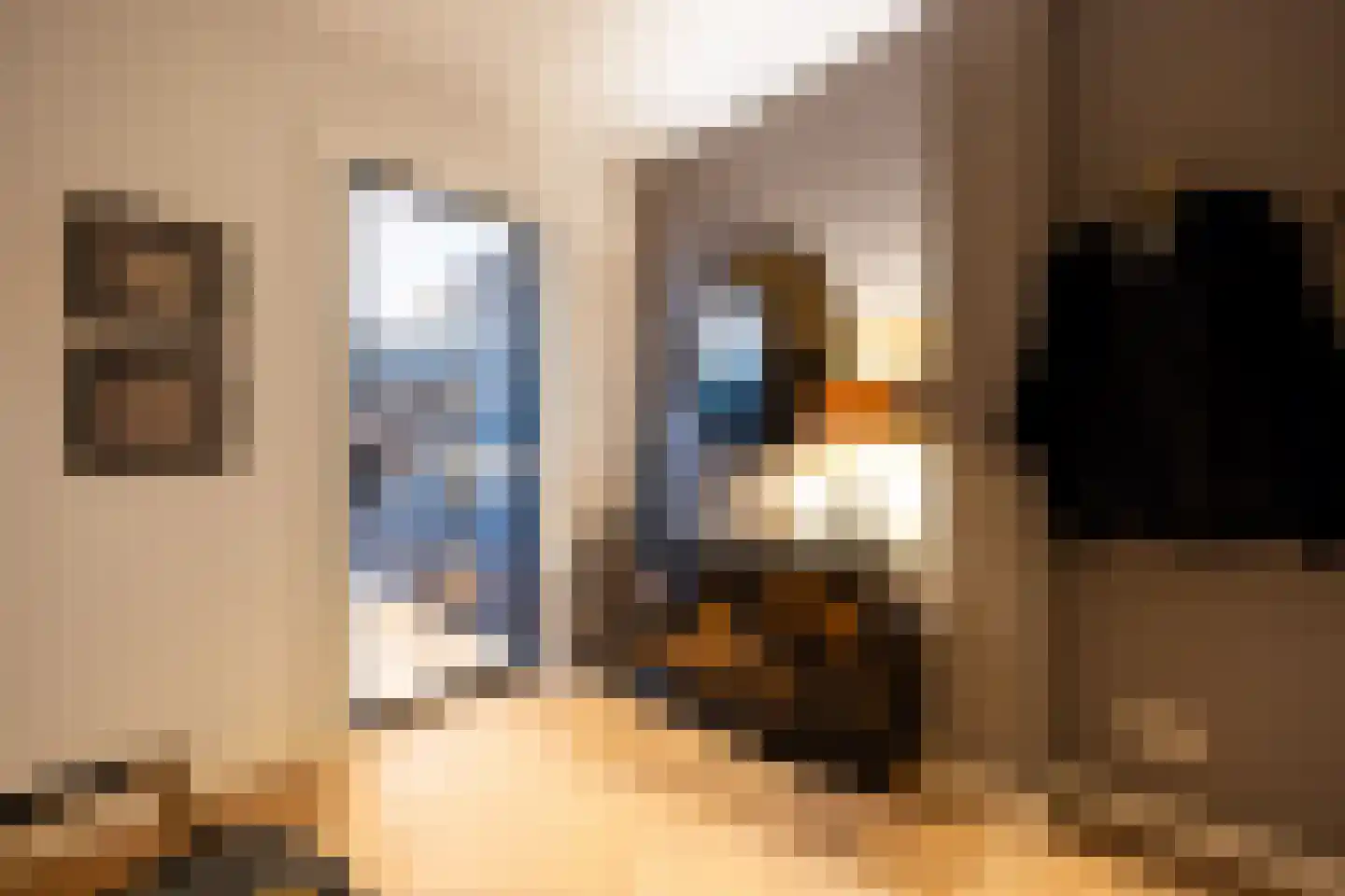 Lange Putstraat 35 's-Hertogenbosch thumbnail 28