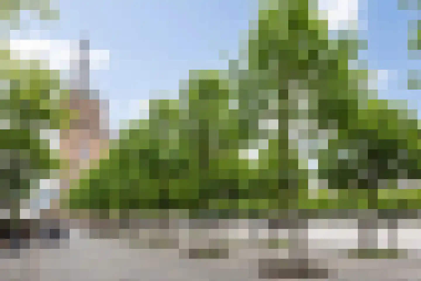 Lange Putstraat 35 's-Hertogenbosch thumbnail 39