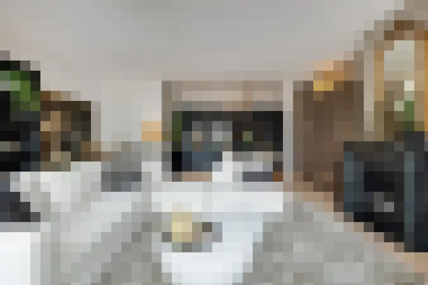 Lange Putstraat 35 's-Hertogenbosch thumbnail 4
