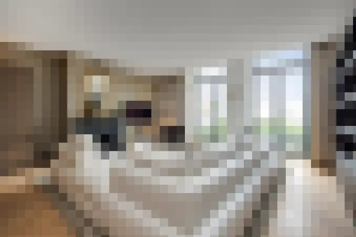 Lange Putstraat 35 's-Hertogenbosch thumbnail 7