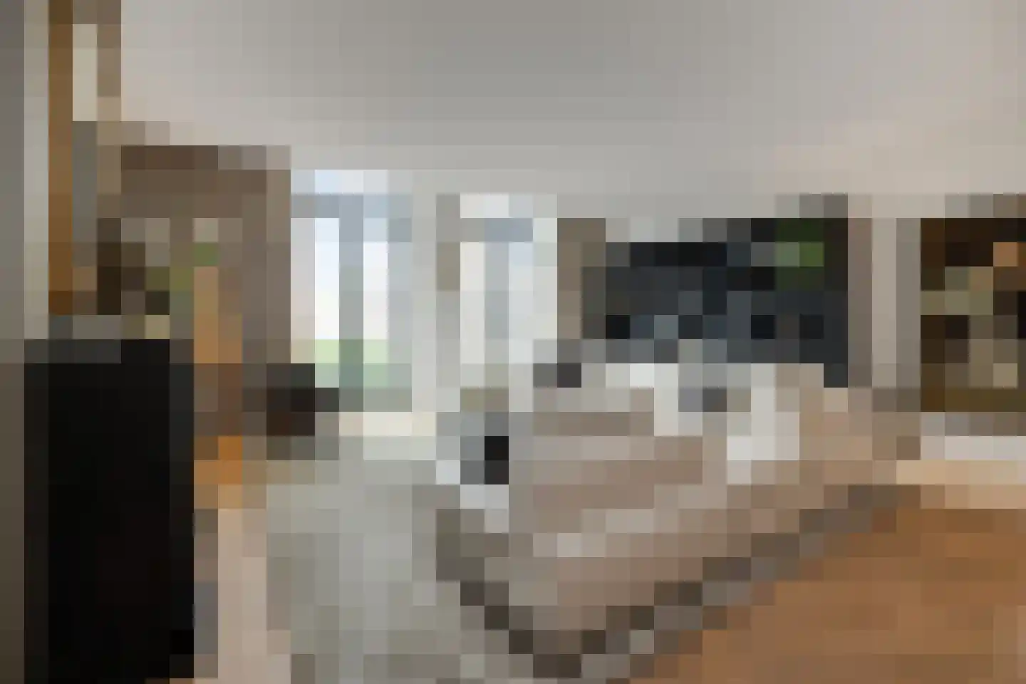 Lange Putstraat 35 's-Hertogenbosch thumbnail 8