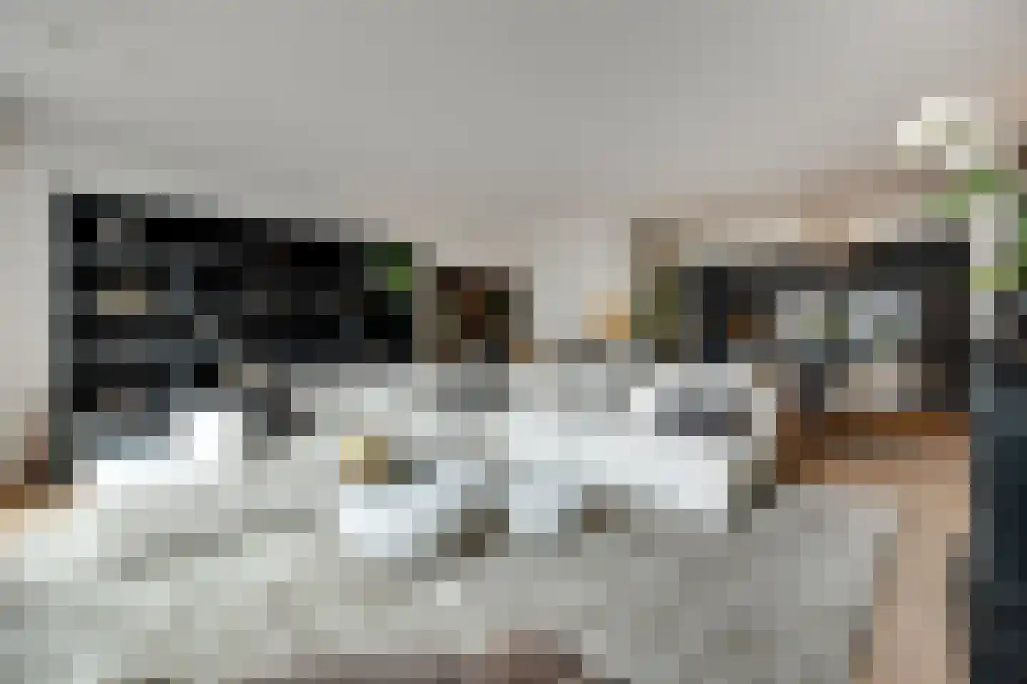 Lange Putstraat 35 's-Hertogenbosch thumbnail 9