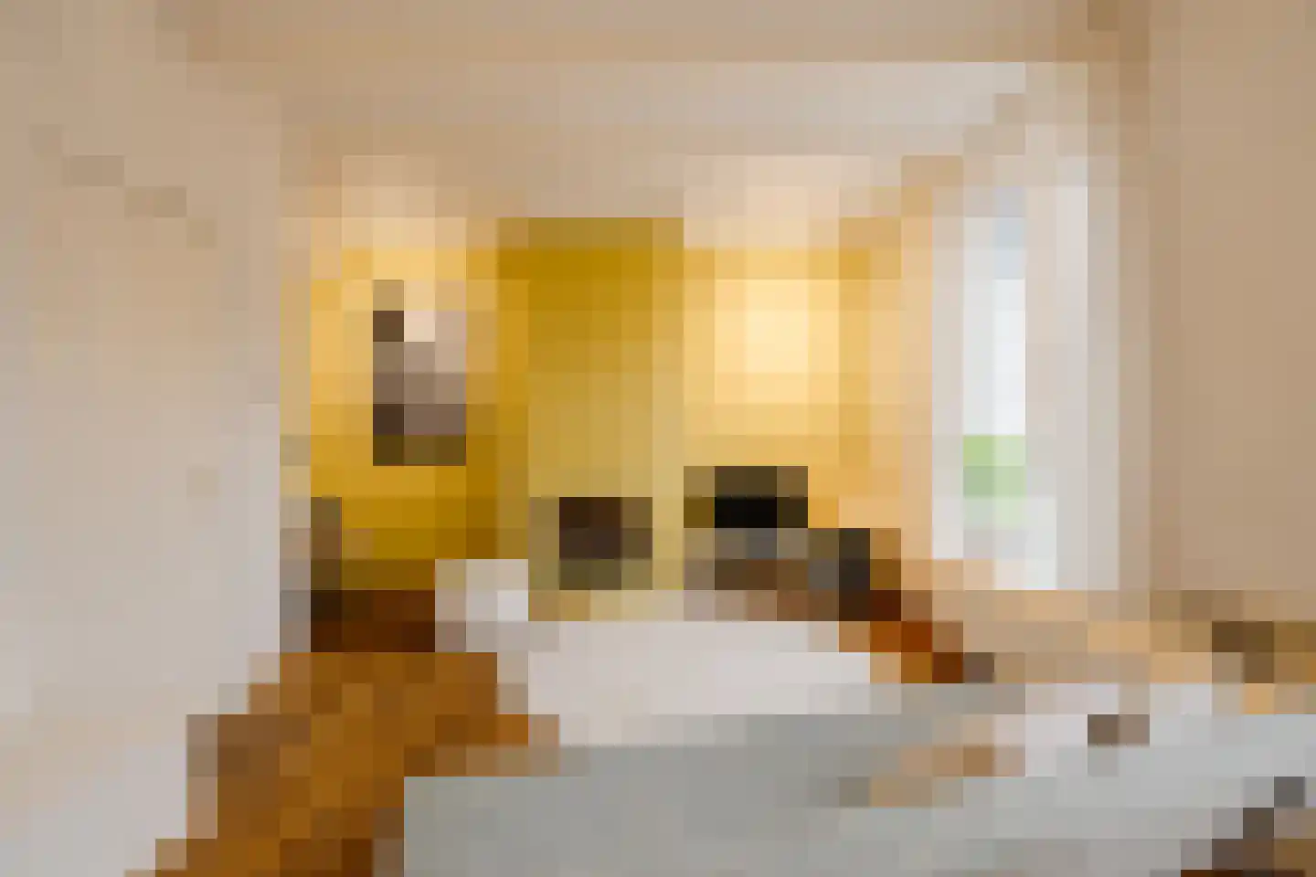 Lange Raamstraat 9 Haarlem thumbnail 17