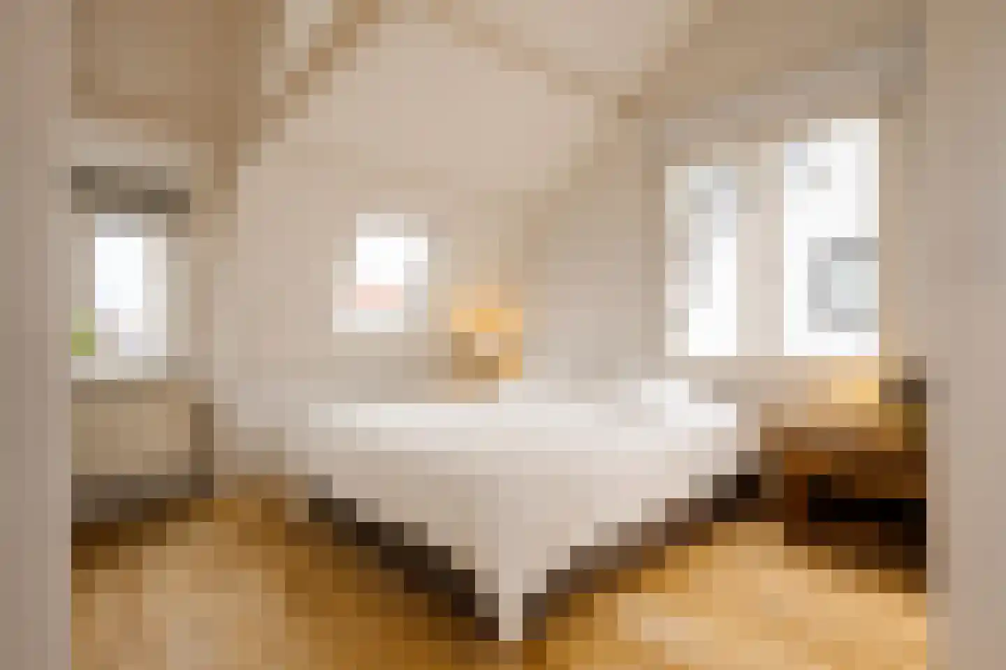 Lange Raamstraat 9 Haarlem thumbnail 24