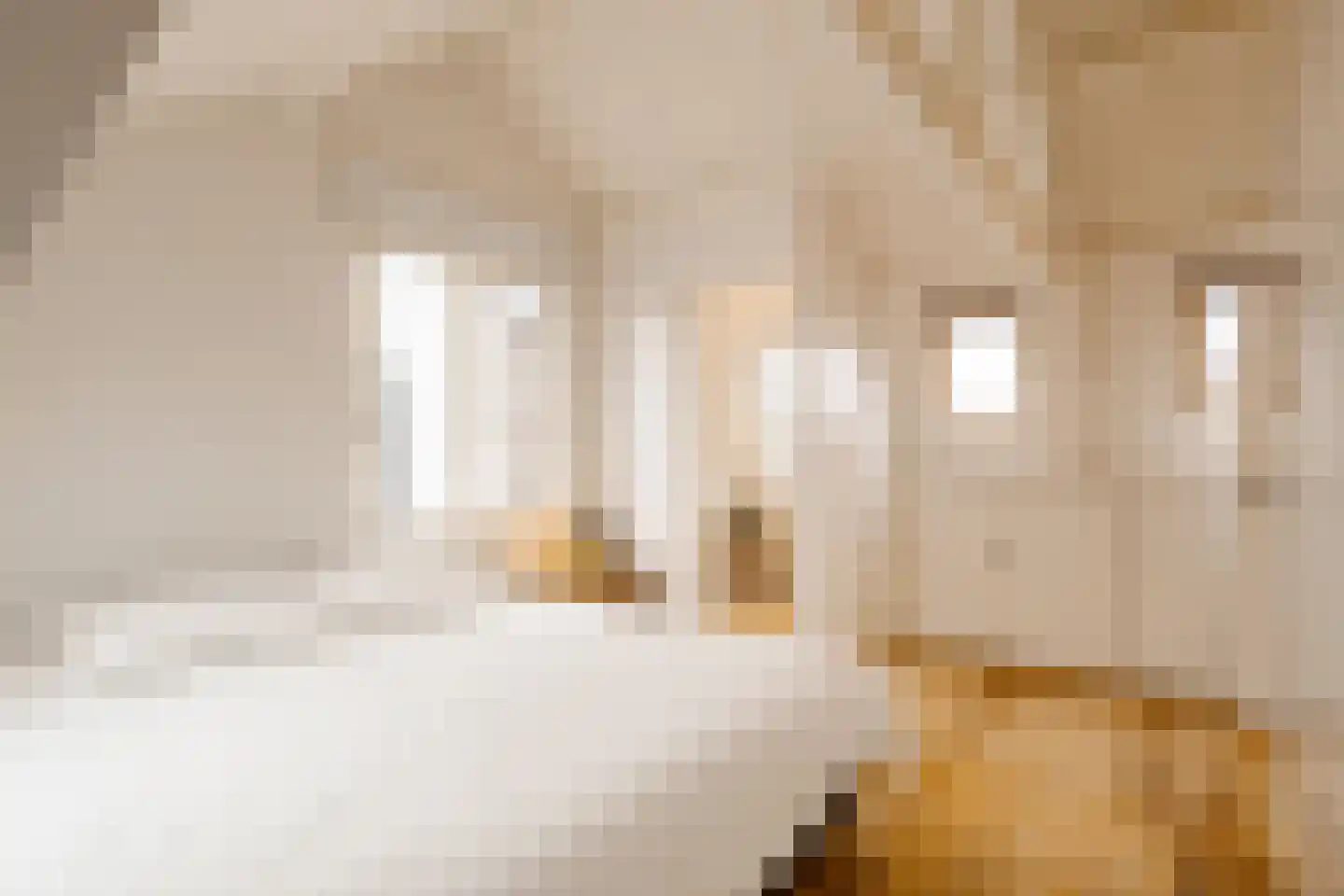 Lange Raamstraat 9 Haarlem thumbnail 26