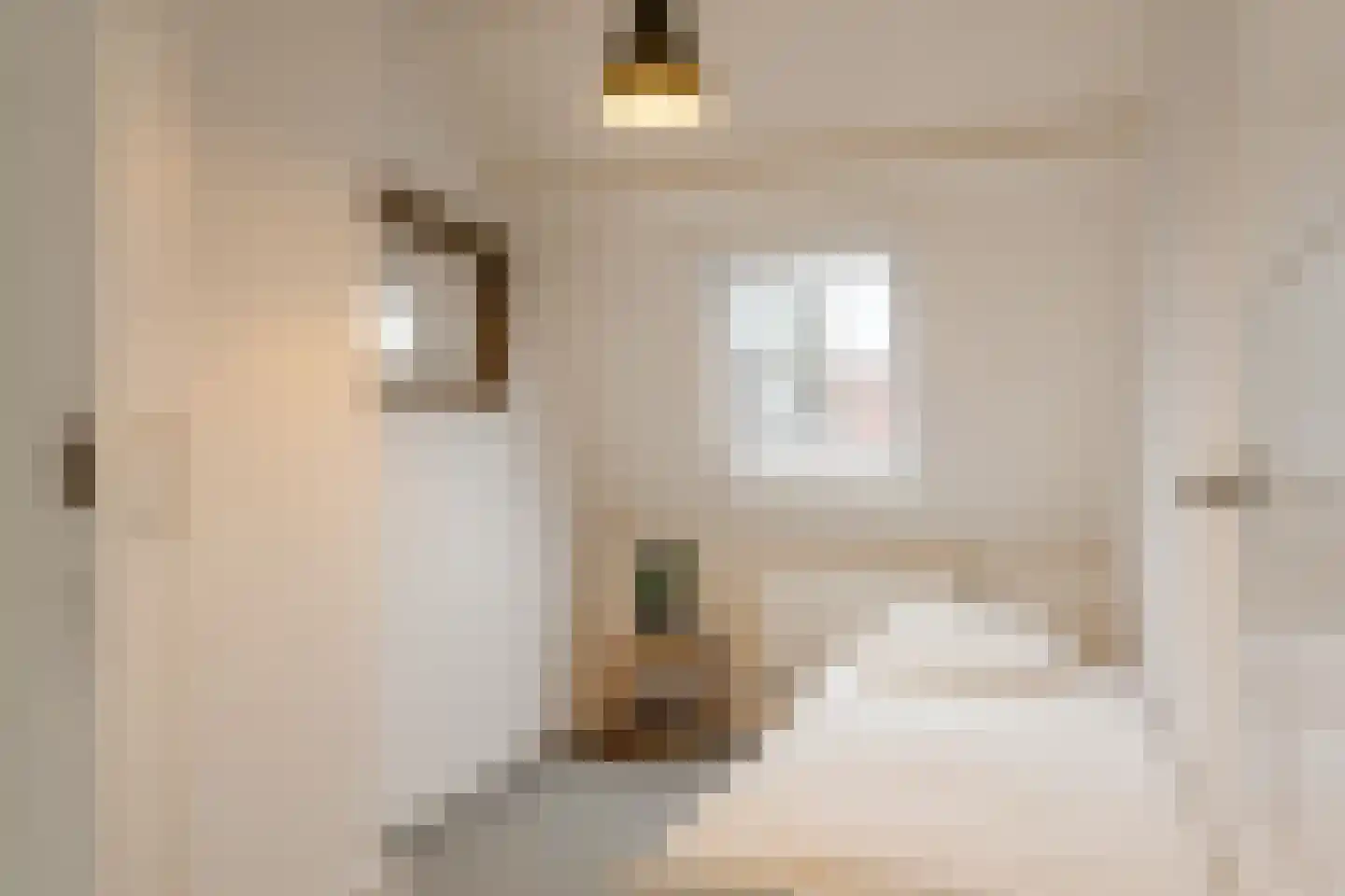 Lange Raamstraat 9 Haarlem thumbnail 29