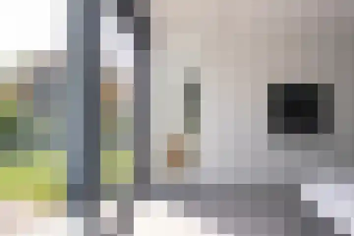 Lange Raarberg 46 Meerssen thumbnail 10