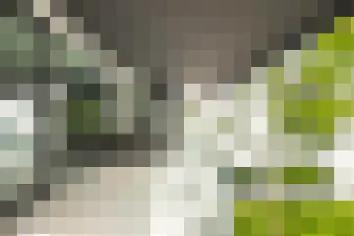 Lange Raarberg 46 Meerssen thumbnail 20