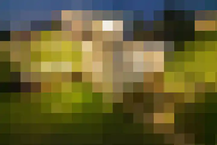 Lange Raarberg 46 Meerssen thumbnail 24