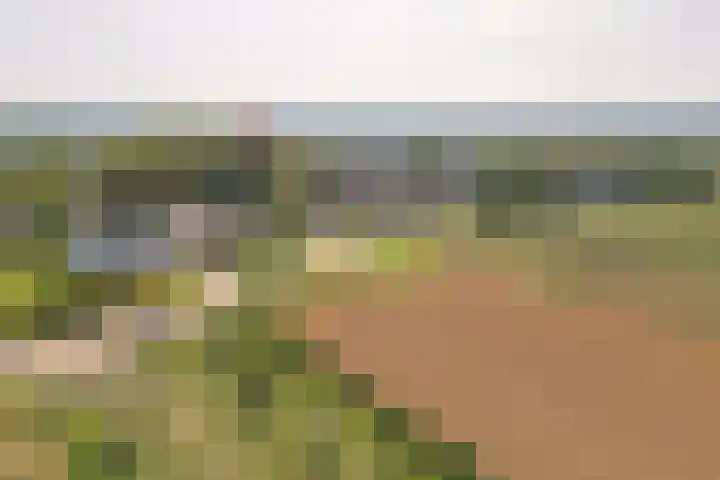 Lange Raarberg 46 Meerssen thumbnail 29