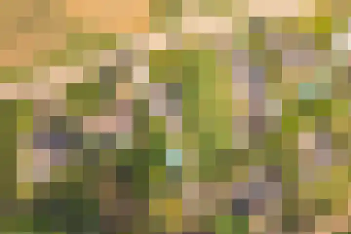 Lange Raarberg 46 Meerssen thumbnail 30