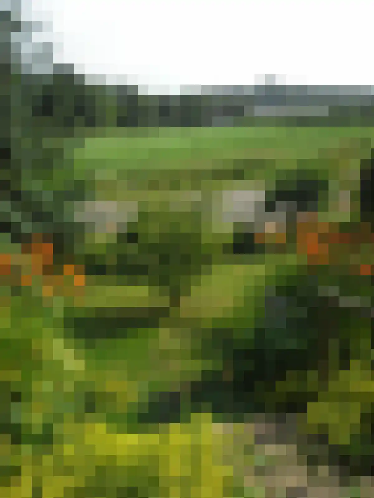 Lange Raarberg 6 Meerssen thumbnail 38