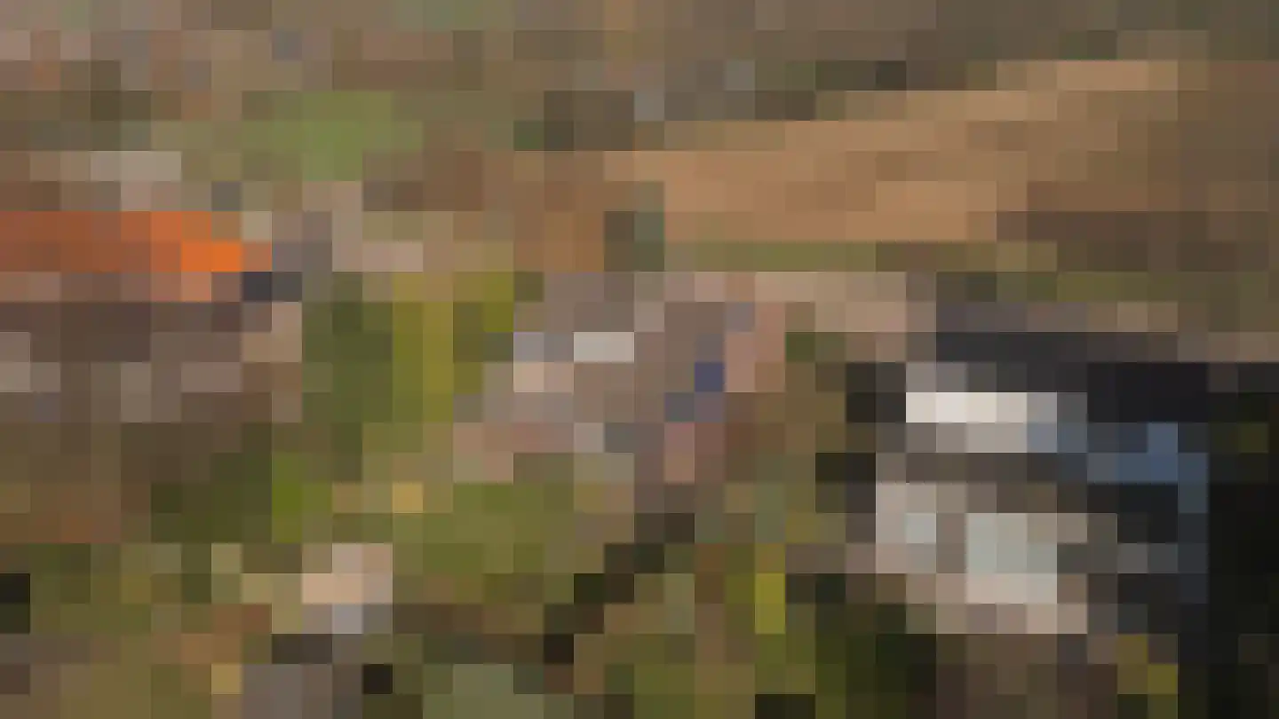 Lange Raarberg 6 Meerssen thumbnail 39