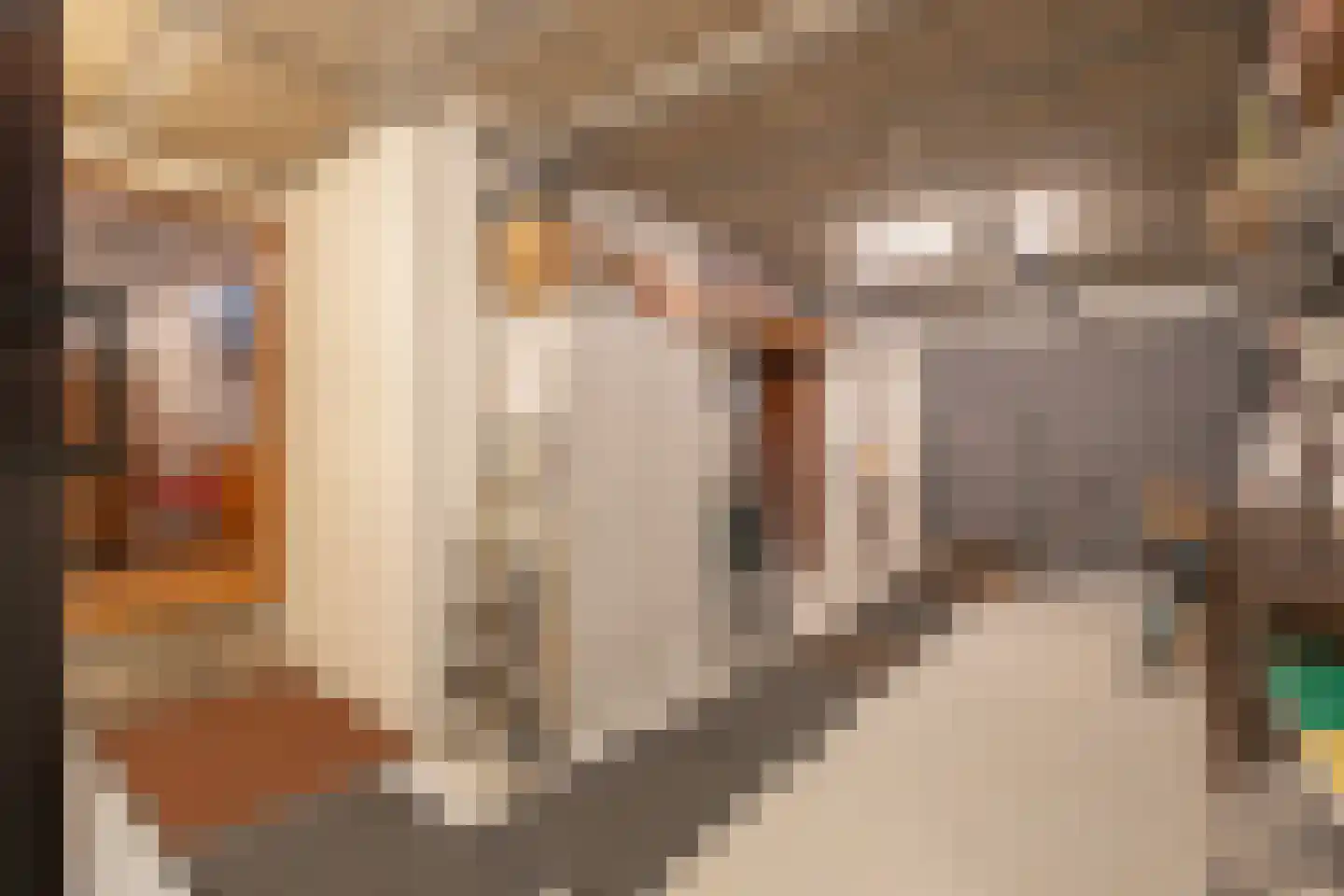 Lange Raarberg 8 Meerssen thumbnail 22