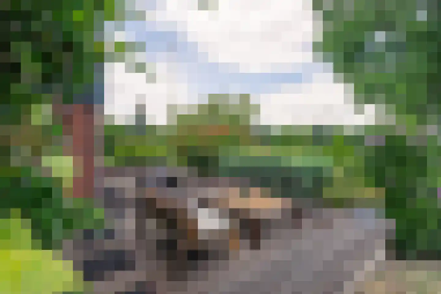 Lange Raarberg 8 Meerssen thumbnail 27