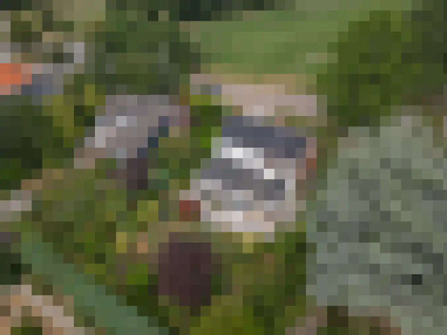 Lange Raarberg 8 Meerssen thumbnail 29