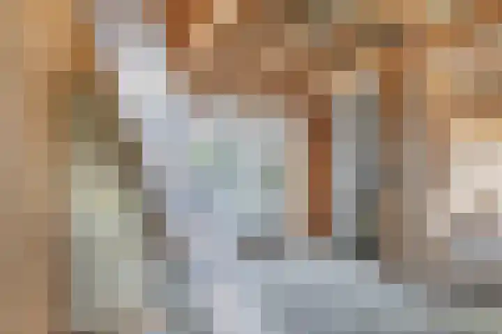 Lange Reed 2 a De Westereen thumbnail 10