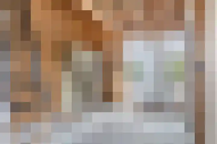 Lange Reed 2 a De Westereen thumbnail 11