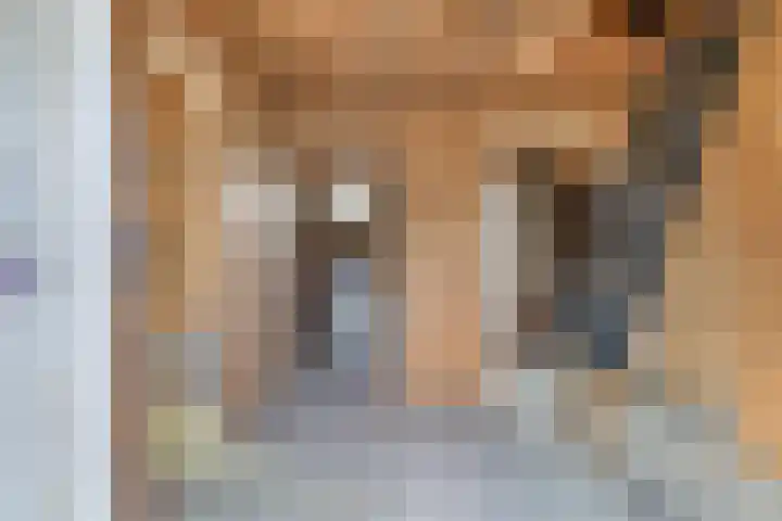 Lange Reed 2 a De Westereen thumbnail 12