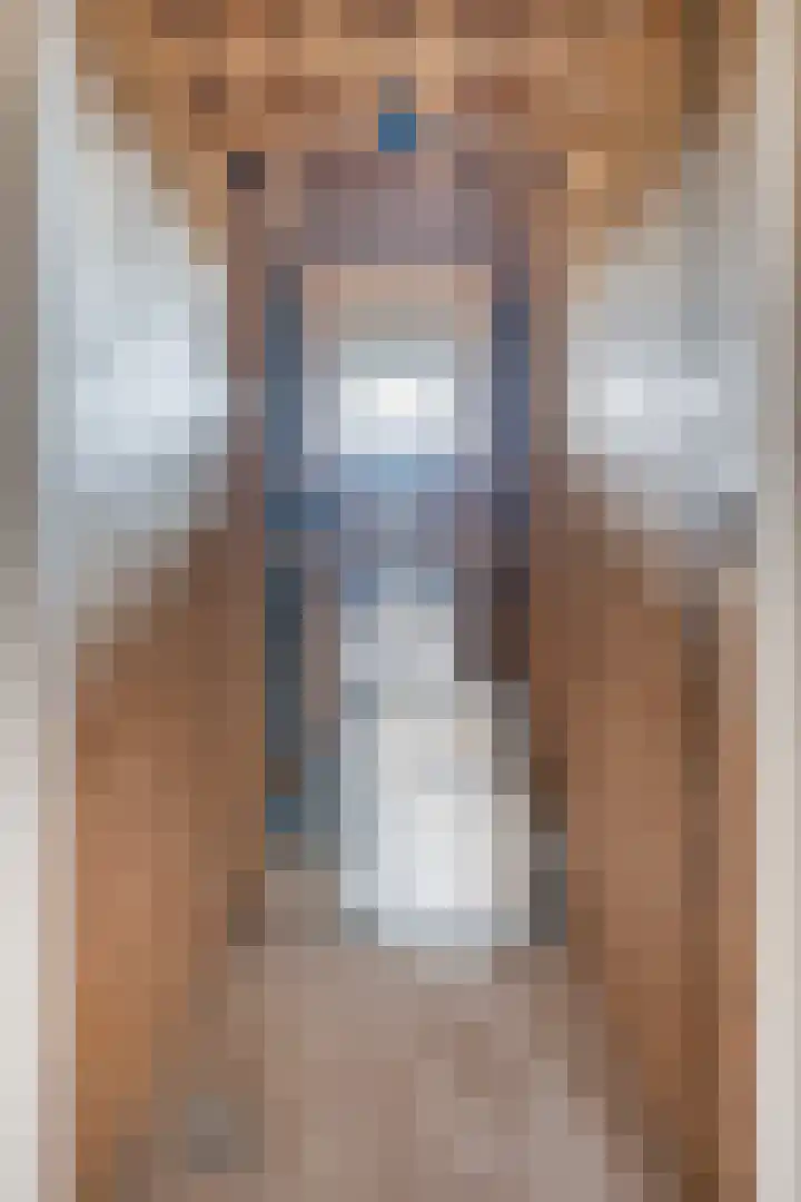 Lange Reed 2 a De Westereen thumbnail 13
