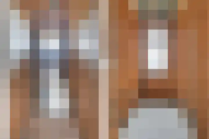 Lange Reed 2 a De Westereen thumbnail 14