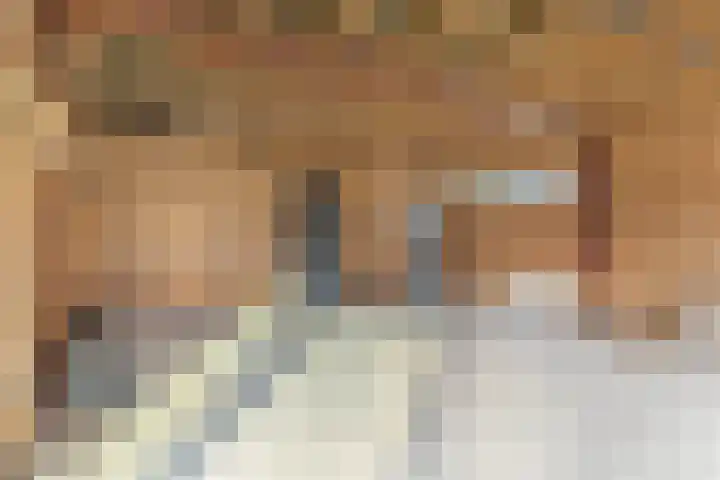 Lange Reed 2 a De Westereen thumbnail 16