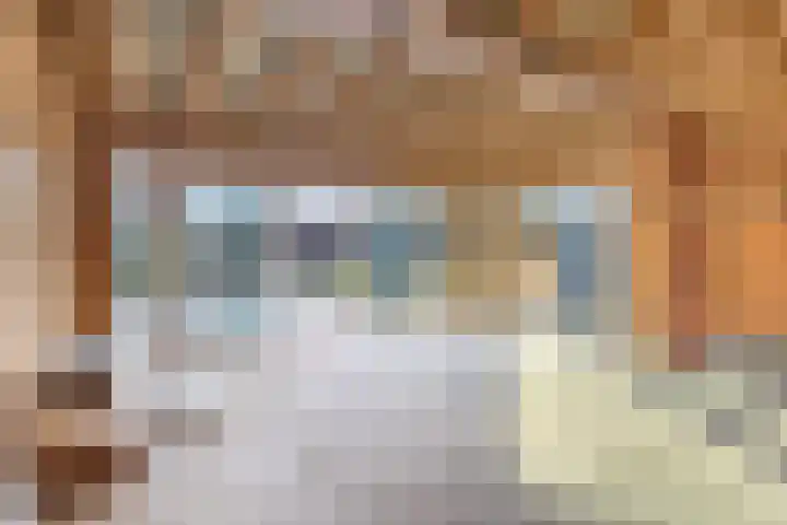 Lange Reed 2 a De Westereen thumbnail 17